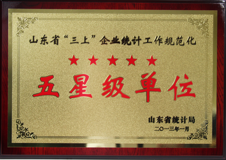 開發(fā)公司被授予省“三上”企業(yè)統(tǒng)計規(guī)范化五星級單位